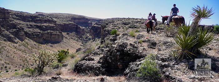 Cowboy Trail Rides - riders along the ridge of the Canyon Rim Ride